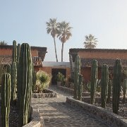 IMG 0001 2 (89)